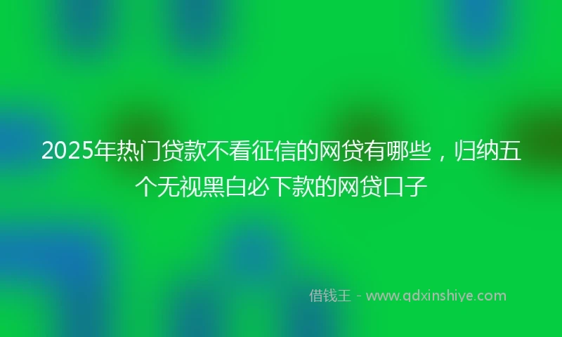 2025年热门贷款不看征信的网贷有哪些，归纳五个无视黑白必下款的网贷口子