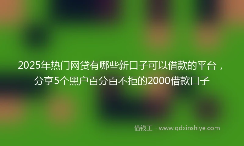 2025年热门网贷有哪些新口子可以借款的平台，分享5个黑户百分百不拒的2000借款口子