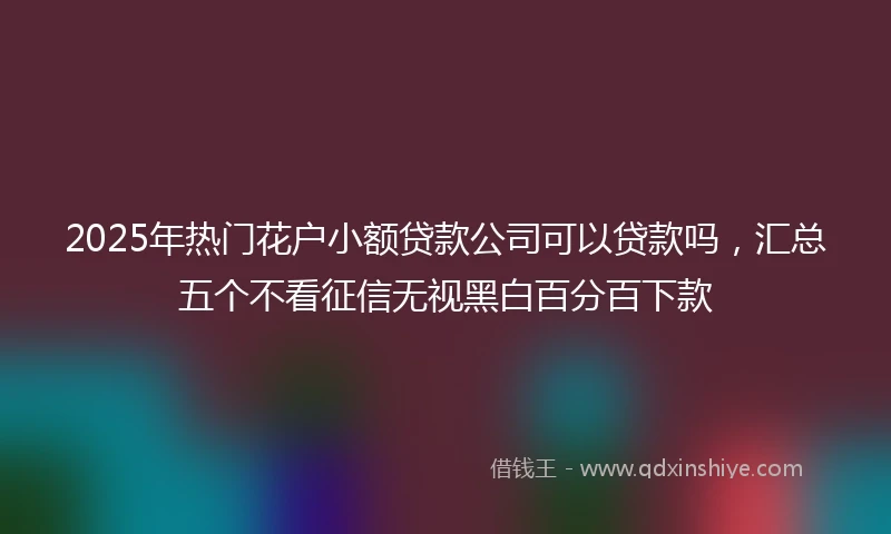 2025年热门花户小额贷款公司可以贷款吗，汇总五个不看征信无视黑白百分百下款