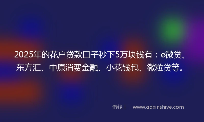 2025年的花户贷款口子秒下5万块钱有：e微贷、东方汇、中原消费金融、小花钱包、微粒贷等。