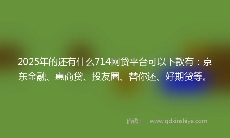 2025年的还有什么714网贷平台可以下款有：京东金融、惠商贷、投友圈、替你还、好期贷等。