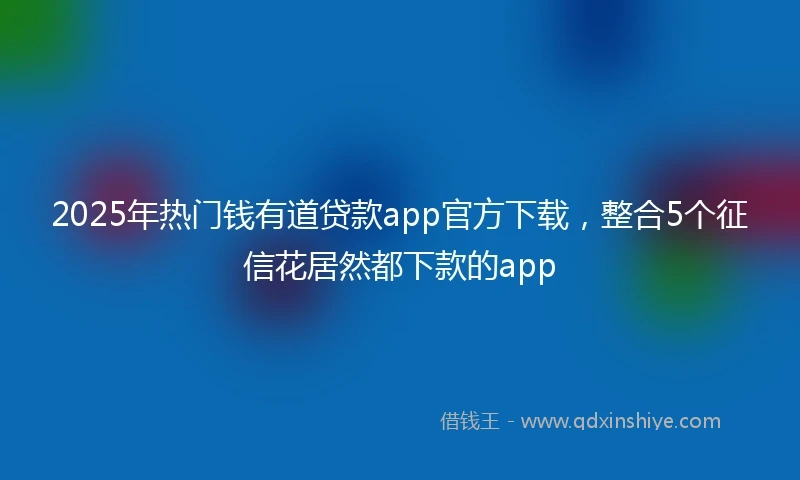 2025年热门钱有道贷款app官方下载，整合5个征信花居然都下款的app