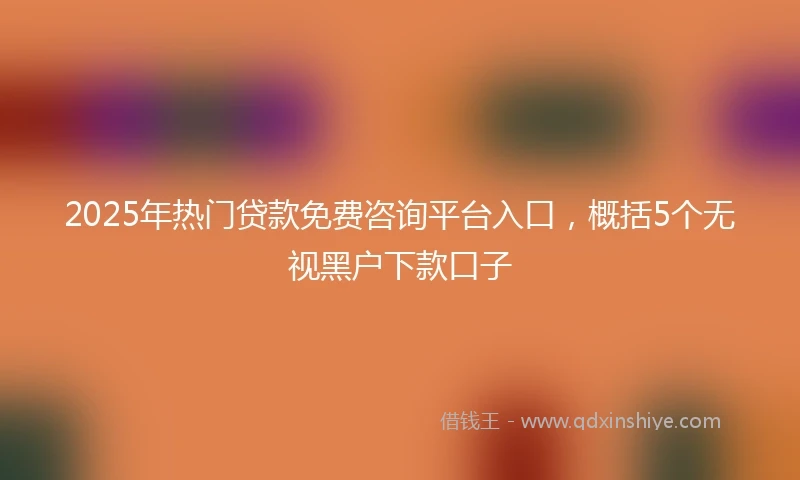 2025年热门贷款免费咨询平台入口，概括5个无视黑户下款口子
