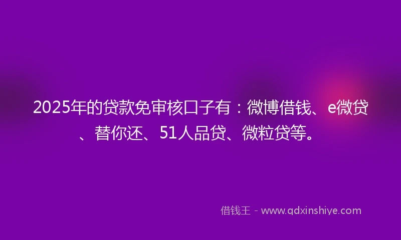 2025年的贷款免审核口子有：微博借钱、e微贷、替你还、51人品贷、微粒贷等。