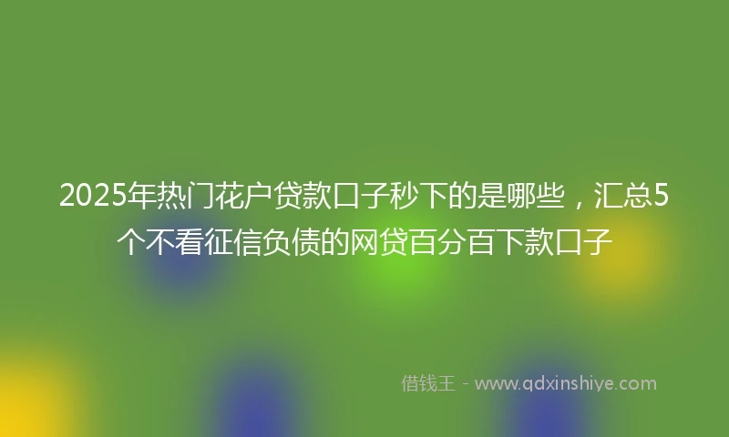 2025年热门花户贷款口子秒下的是哪些，汇总5个不看征信负债的网贷百分百下款口子