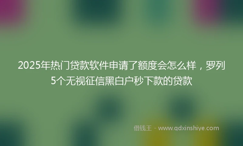 2025年热门贷款软件申请了额度会怎么样,罗列5个无视征信黑白户秒下款的贷款