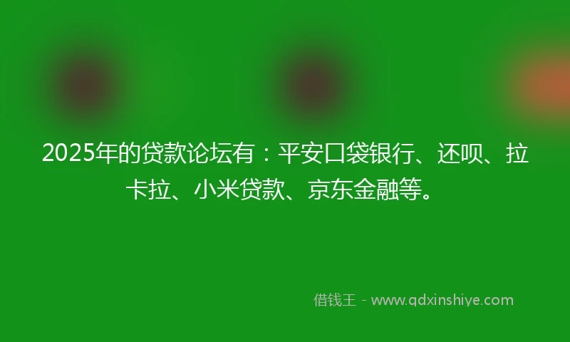 2025年的贷款论坛有：平安口袋银行、还呗、拉卡拉、小米贷款、京东金融等。