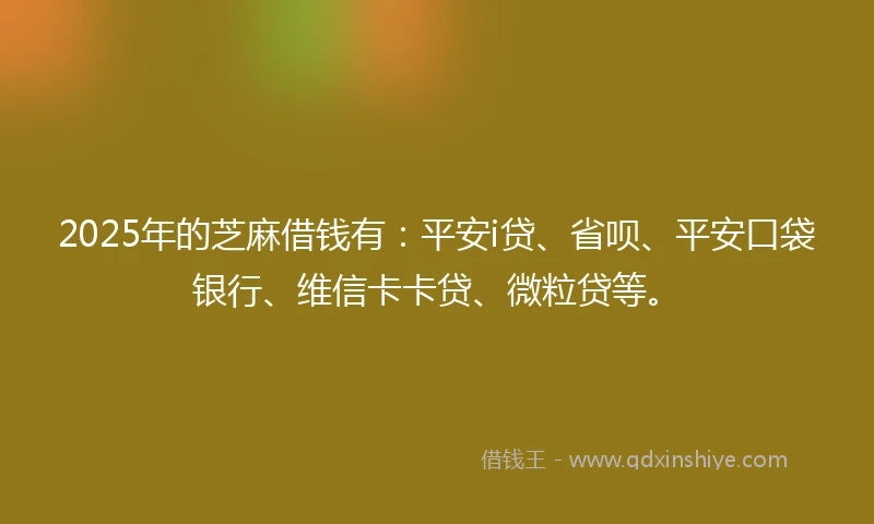 2025年的芝麻借钱有：平安i贷、省呗、平安口袋银行、维信卡卡贷、微粒贷等。