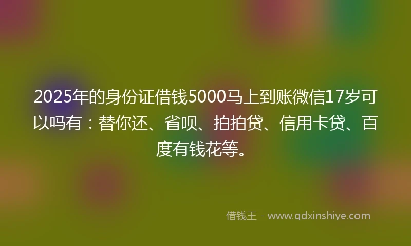 2025年的身份证借钱5000马上到账微信17岁可以吗有：替你还、省呗、拍拍贷、信用卡贷、百度有钱花等。