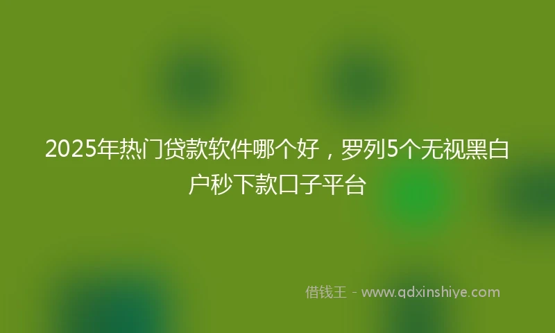 2025年热门贷款软件哪个好,罗列5个无视黑白户秒下款口子平台