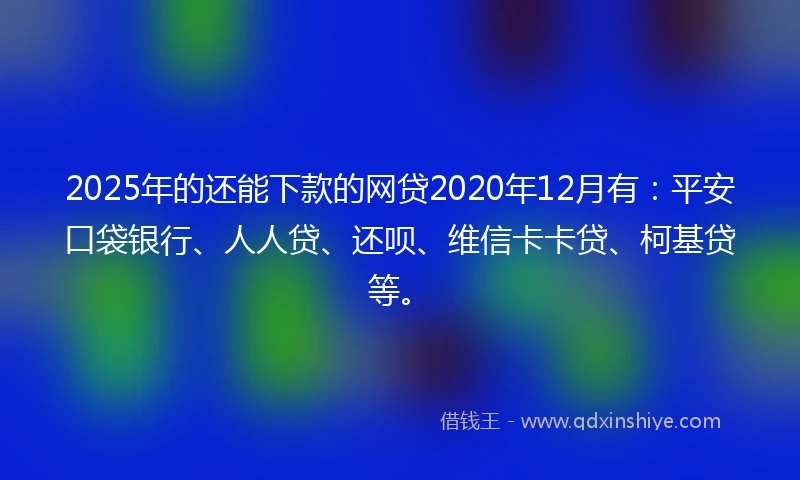 2025年的还能下款的网贷2020年12月有：平安口袋银行、人人贷、还呗、维信卡卡贷、柯基贷等。