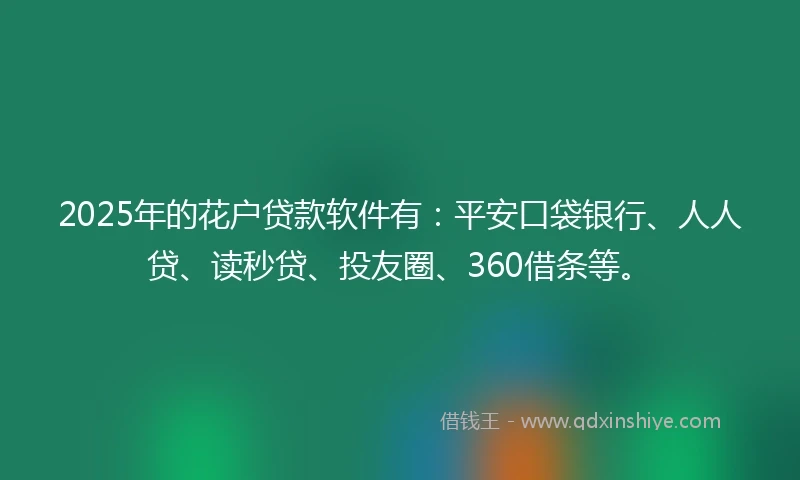 2025年的花户贷款软件有：平安口袋银行、人人贷、读秒贷、投友圈、360借条等。