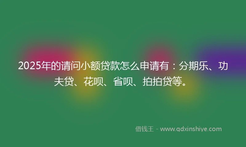 2025年的请问小额贷款怎么申请有：分期乐、功夫贷、花呗、省呗、拍拍贷等。