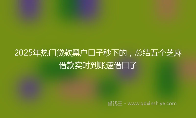 2025年热门贷款黑户口子秒下的，总结五个芝麻借款实时到账速借口子