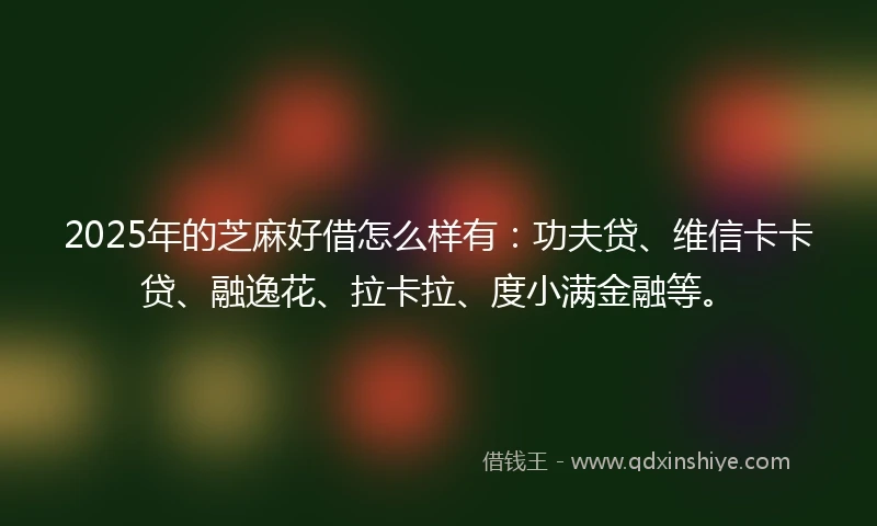 2025年的芝麻好借怎么样有：功夫贷、维信卡卡贷、融逸花、拉卡拉、度小满金融等。