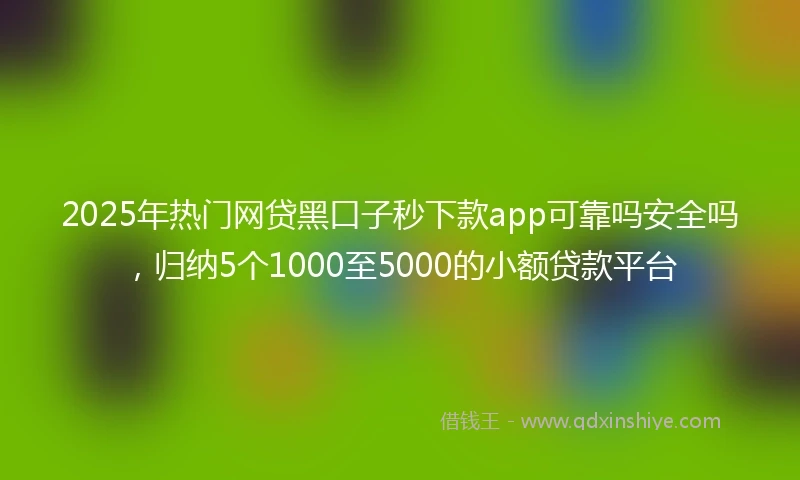 2025年热门网贷黑口子秒下款app可靠吗安全吗，归纳5个1000至5000的小额贷款平台