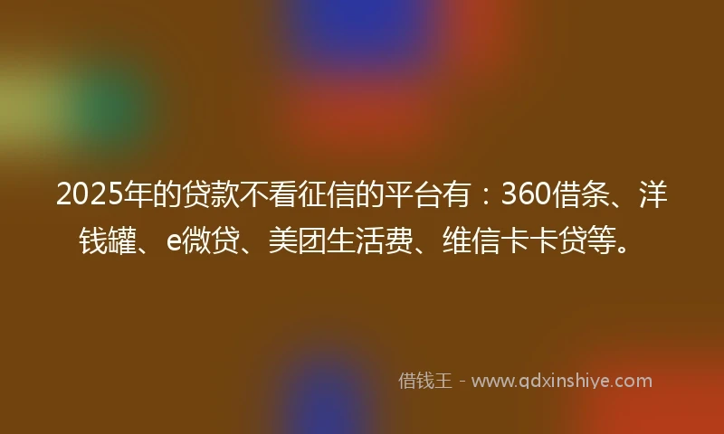 2025年的贷款不看征信的平台有：360借条、洋钱罐、e微贷、美团生活费、维信卡卡贷等。