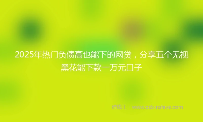2025年热门负债高也能下的网贷，分享五个无视黑花能下款一万元口子