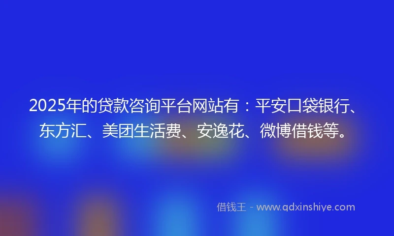 2025年的贷款咨询平台网站有：平安口袋银行、东方汇、美团生活费、安逸花、微博借钱等。