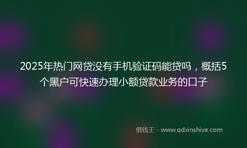 2025年热门网贷没有手机验证码能贷吗，概括5个黑户可快速办理小额贷款业务的口子