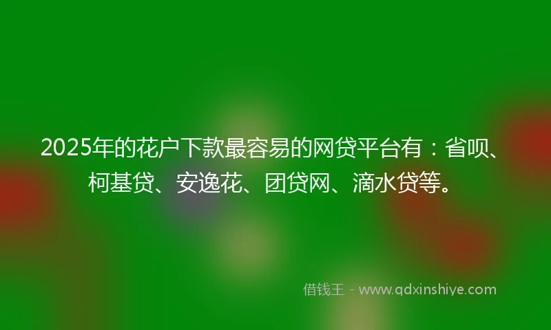 2025年的花户下款最容易的网贷平台有：省呗、柯基贷、安逸花、团贷网、滴水贷等。