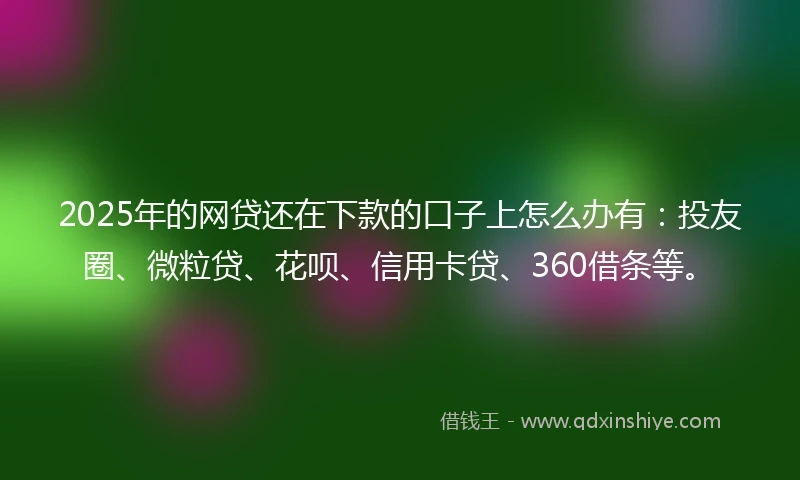 2025年的网贷还在下款的口子上怎么办有：投友圈、微粒贷、花呗、信用卡贷、360借条等。