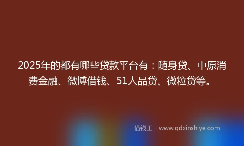 2025年的都有哪些贷款平台有：随身贷、中原消费金融、微博借钱、51人品贷、微粒贷等。