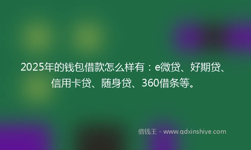 2025年的钱包借款怎么样有：e微贷、好期贷、信用卡贷、随身贷、360借条等。