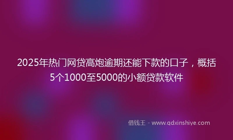 2025年热门网贷高炮逾期还能下款的口子，概括5个1000至5000的小额贷款软件