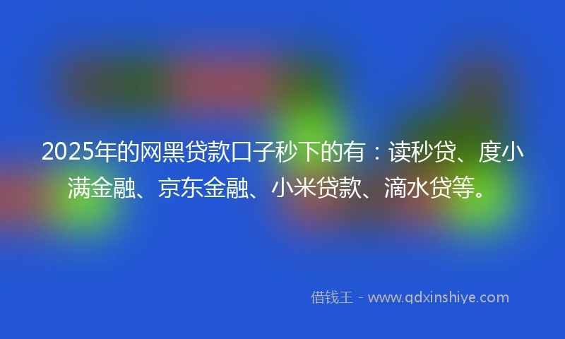 2025年的网黑贷款口子秒下的有：读秒贷、度小满金融、京东金融、小米贷款、滴水贷等。
