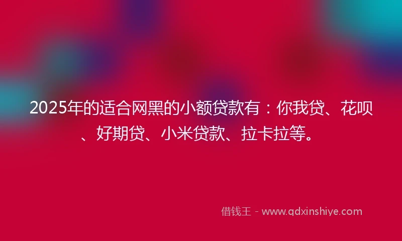 2025年的适合网黑的小额贷款有：你我贷、花呗、好期贷、小米贷款、拉卡拉等。