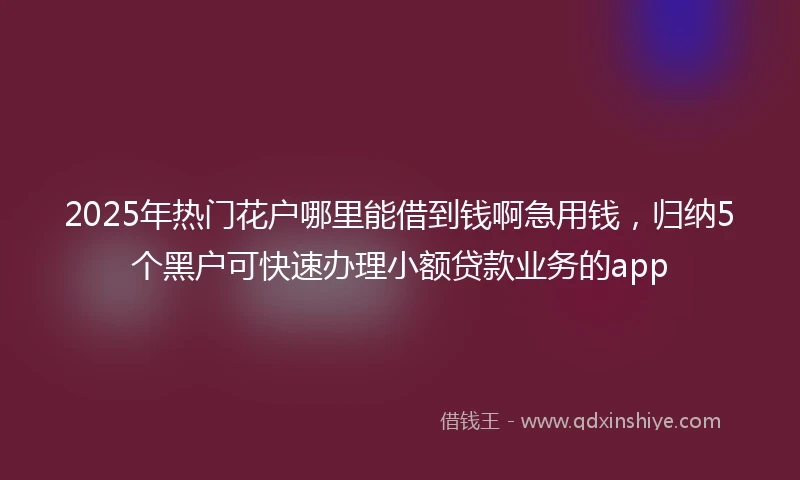 2025年热门花户哪里能借到钱啊急用钱，归纳5个黑户可快速办理小额贷款业务的app