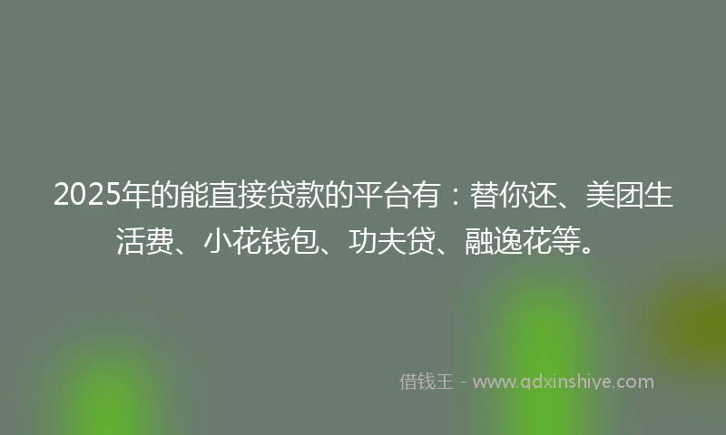 2025年的能直接贷款的平台有：替你还、美团生活费、小花钱包、功夫贷、融逸花等。