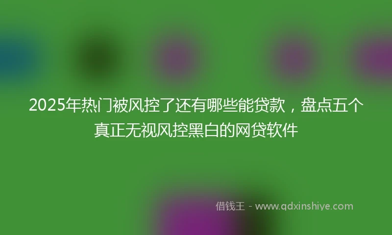 2025年热门被风控了还有哪些能贷款，盘点五个真正无视风控黑白的网贷软件