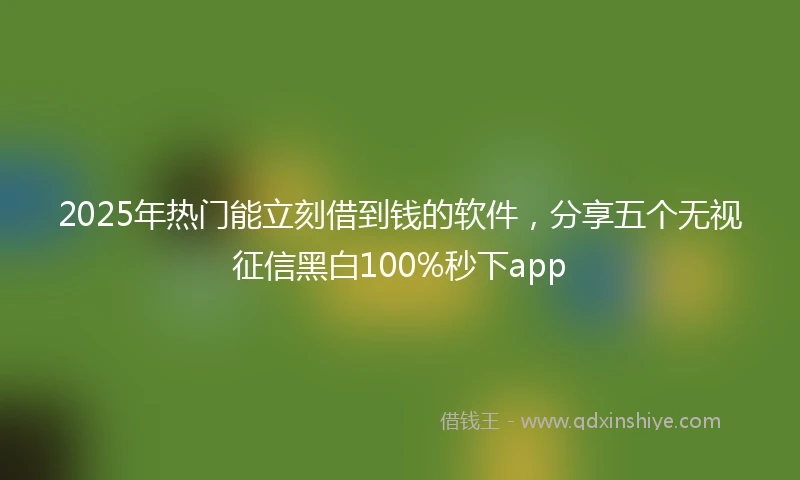 2025年热门能立刻借到钱的软件，分享五个无视征信黑白100%秒下app