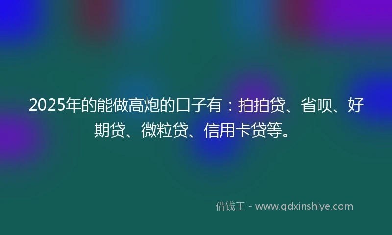 2025年的能做高炮的口子有：拍拍贷、省呗、好期贷、微粒贷、信用卡贷等。