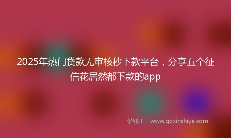 2025年热门贷款无审核秒下款平台，分享五个征信花居然都下款的app