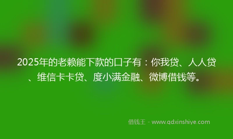 2025年的老赖能下款的口子有：你我贷、人人贷、维信卡卡贷、度小满金融、微博借钱等。