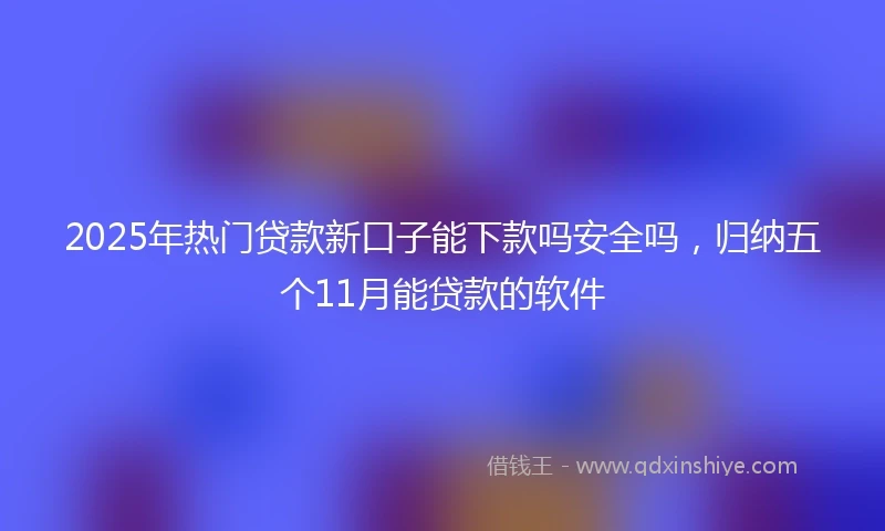 2025年热门贷款新口子能下款吗安全吗，归纳五个11月能贷款的软件