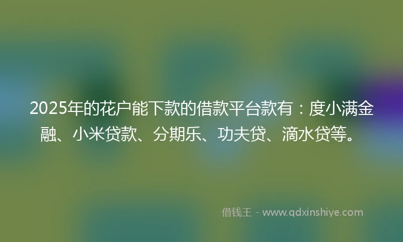 2025年的花户能下款的借款平台款有：度小满金融、小米贷款、分期乐、功夫贷、滴水贷等。