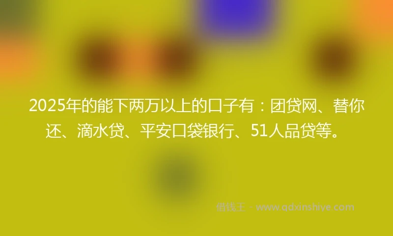 2025年的能下两万以上的口子有：团贷网、替你还、滴水贷、平安口袋银行、51人品贷等。