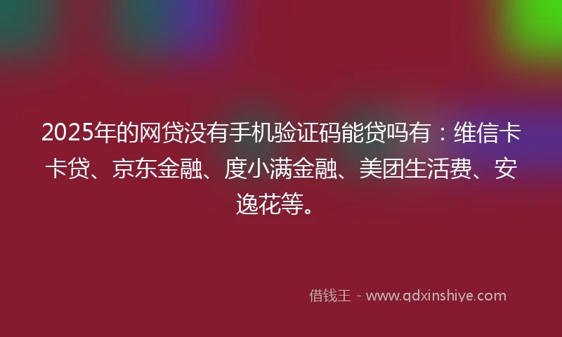2025年的网贷没有手机验证码能贷吗有：维信卡卡贷、京东金融、度小满金融、美团生活费、安逸花等。