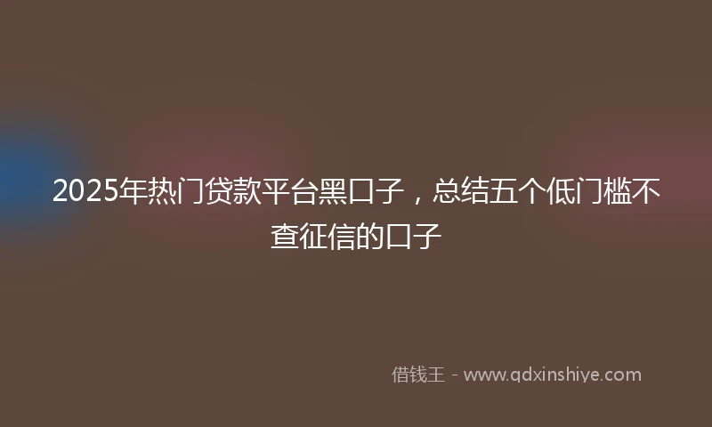 2025年热门贷款平台黑口子，总结五个低门槛不查征信的口子