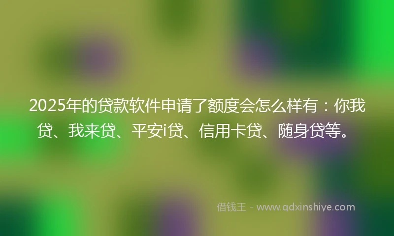 2025年的贷款软件申请了额度会怎么样有：你我贷、我来贷、平安i贷、信用卡贷、随身贷等。