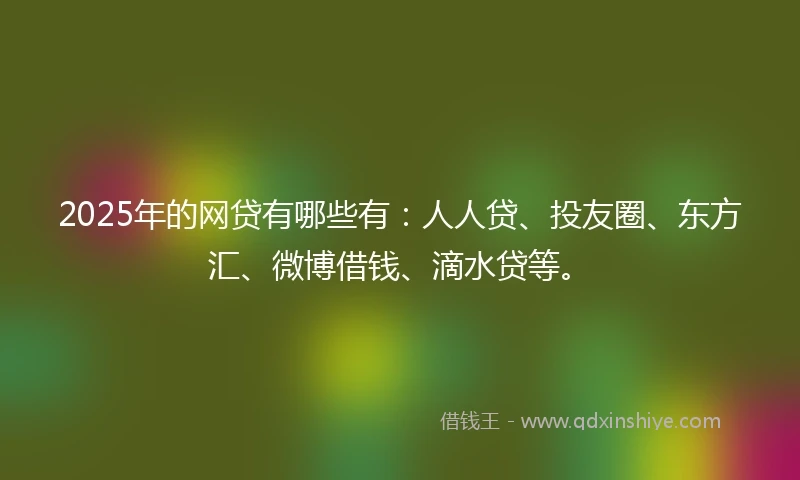 2025年的网贷有哪些有：人人贷、投友圈、东方汇、微博借钱、滴水贷等。