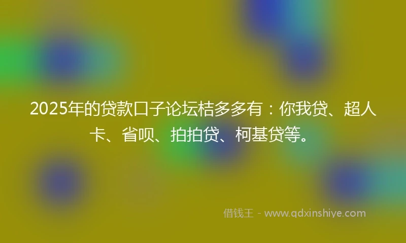 2025年的贷款口子论坛桔多多有：你我贷、超人卡、省呗、拍拍贷、柯基贷等。