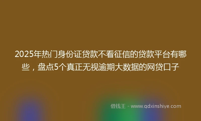 2025年热门身份证贷款不看征信的贷款平台有哪些,盘点5个真正无视逾期大数据的网贷口子