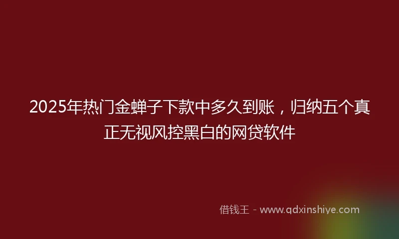 2025年热门金蝉子下款中多久到账，归纳五个真正无视风控黑白的网贷软件