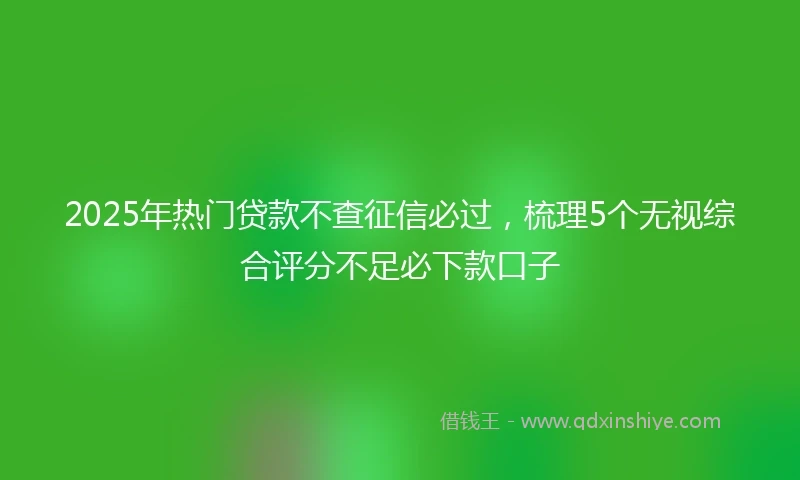 2025年热门贷款不查征信必过，梳理5个无视综合评分不足必下款口子