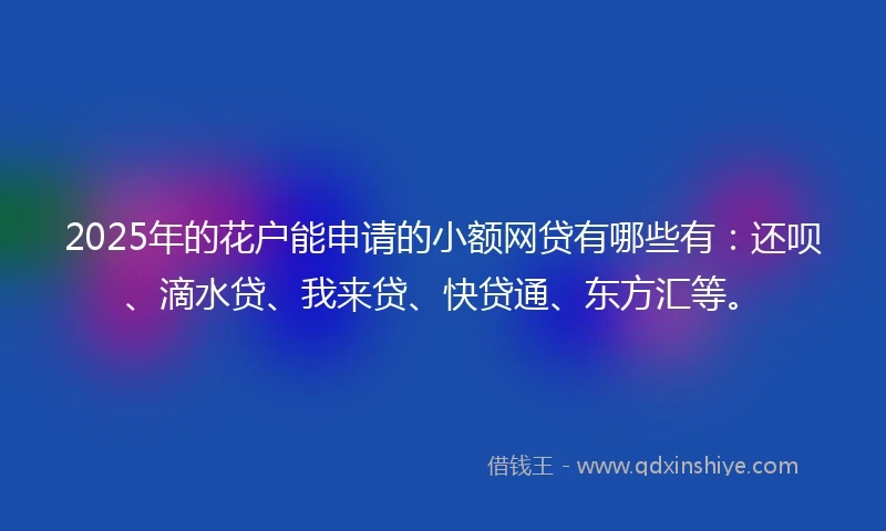 2025年的花户能申请的小额网贷有哪些有：还呗、滴水贷、我来贷、快贷通、东方汇等。
